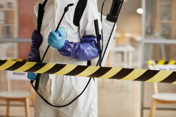 Professional Sewage Cleanup technician working in Virginia City, NV